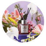 Body Fragrance